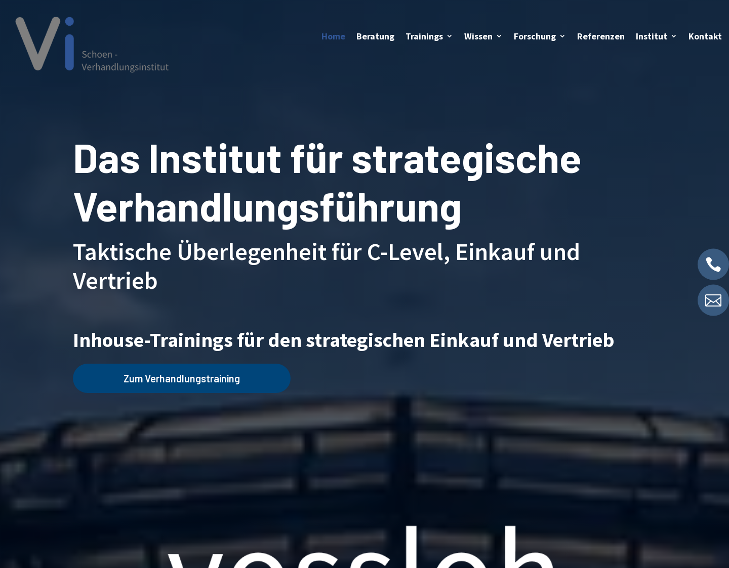 Aktuelle Website-Vorschau von Dr. Raphael Schoen - Verhandlungsinstitut