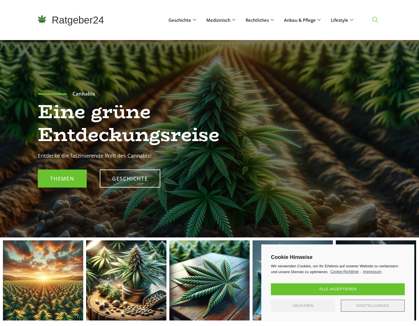 Aktuelle Website-Vorschau von Cannabis Ratgeber 24 - Fachwissen über Cannabis