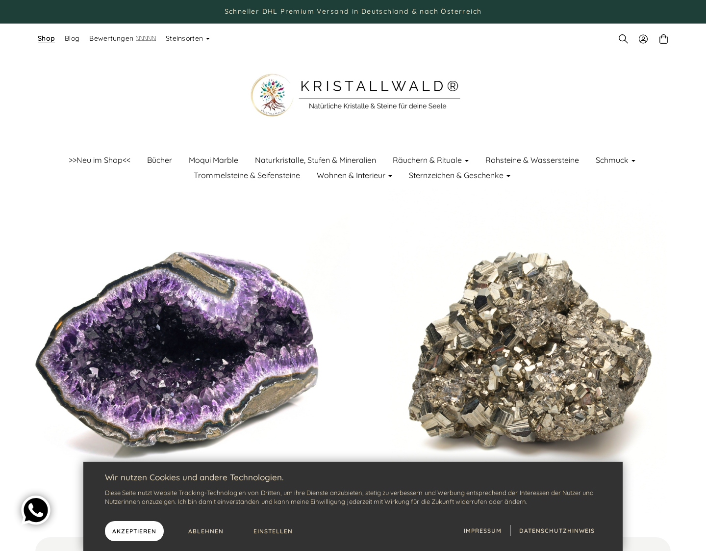 Aktuelle Website-Vorschau von Kristallwald