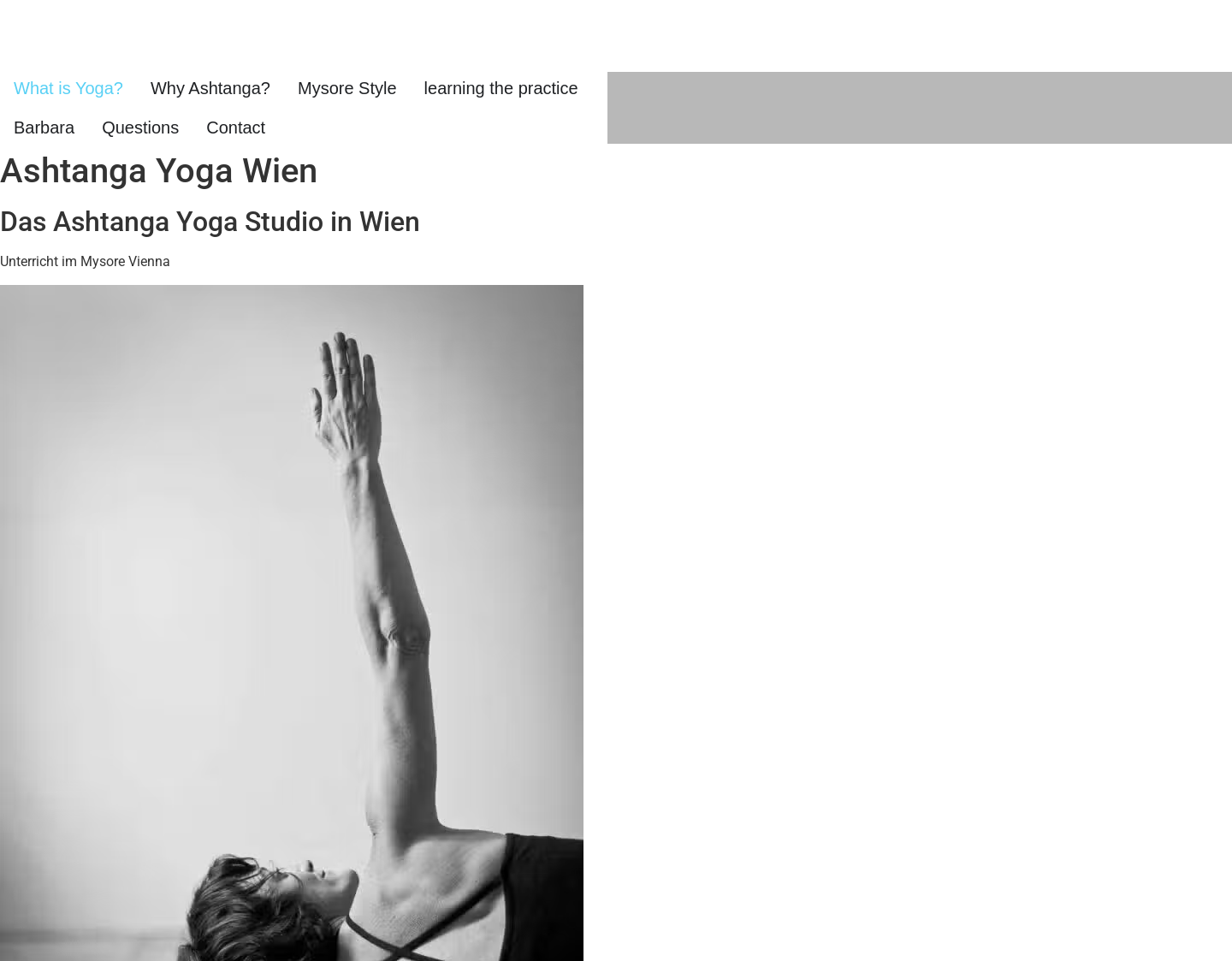 Aktuelle Website-Vorschau von Mysore Vienna