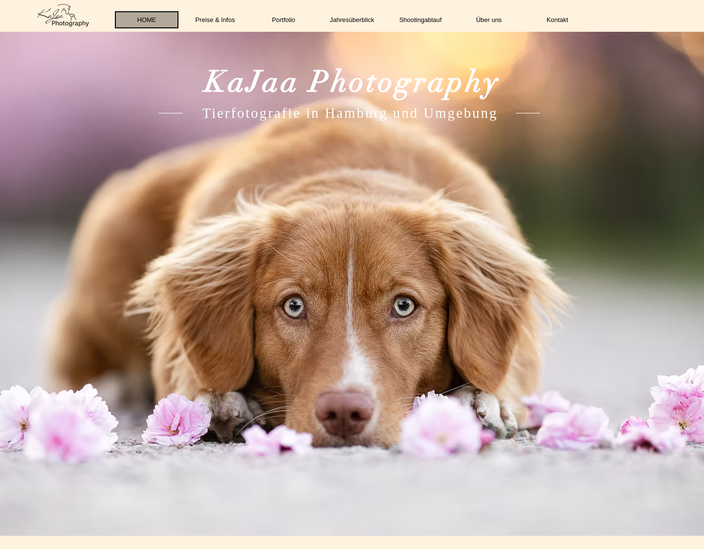Aktuelle Website-Vorschau von Kajaa Photography, Tierfotografie in Hamburg