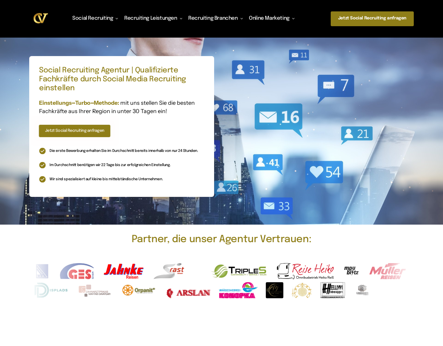 Aktuelle Website-Vorschau von Consulting Vogg