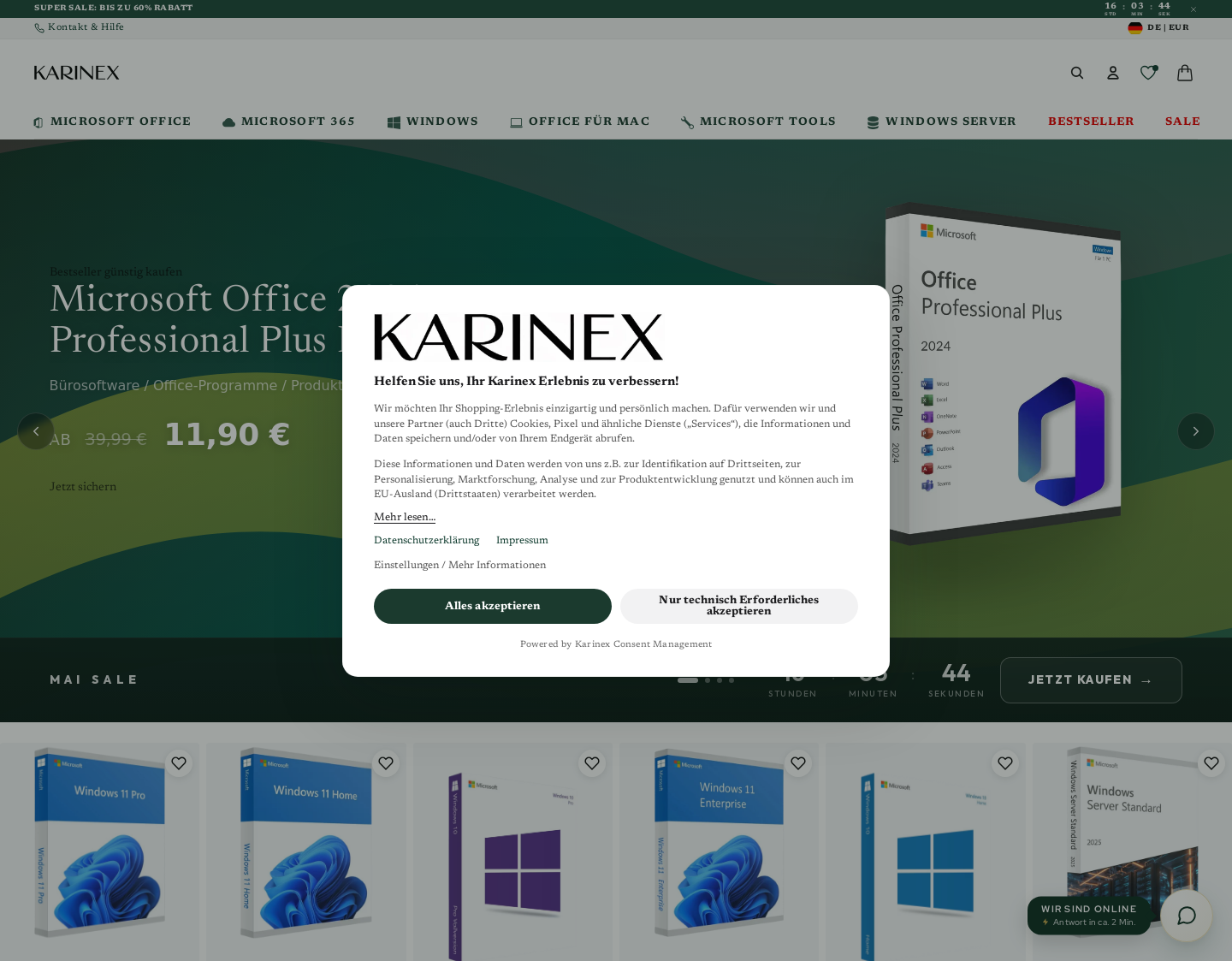 Aktuelle Website-Vorschau von Karinex