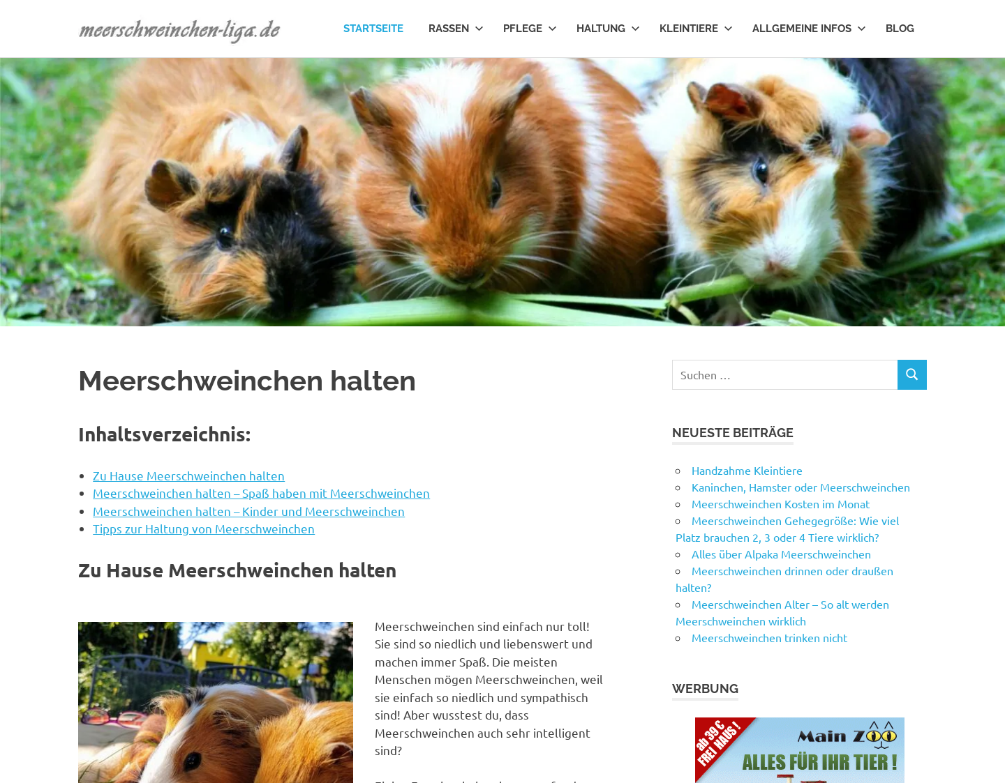 Aktuelle Website-Vorschau von Meerschweinchen zu Hause halten