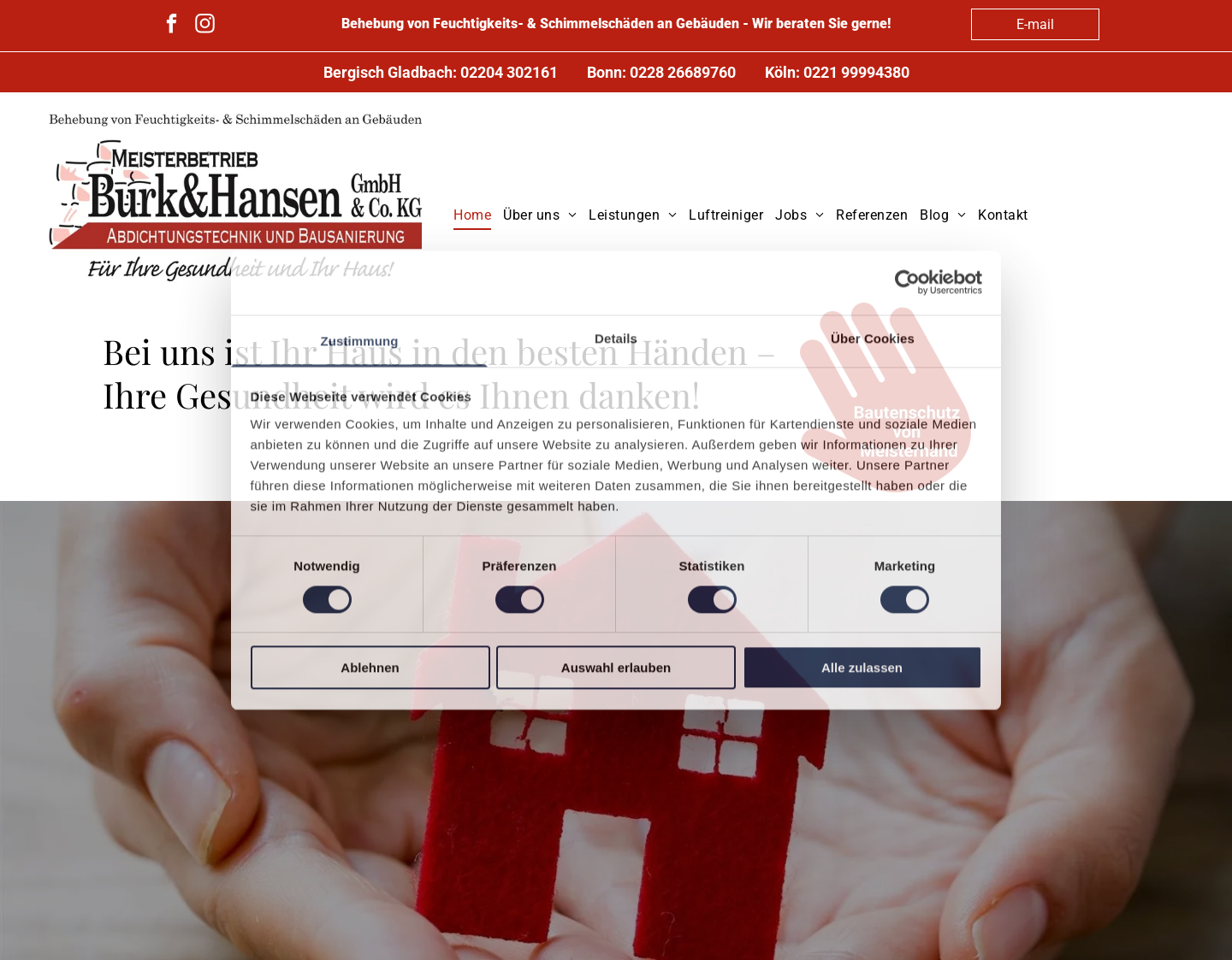 Aktuelle Website-Vorschau von Behebung von Feuchtigkeits- und Schimmel