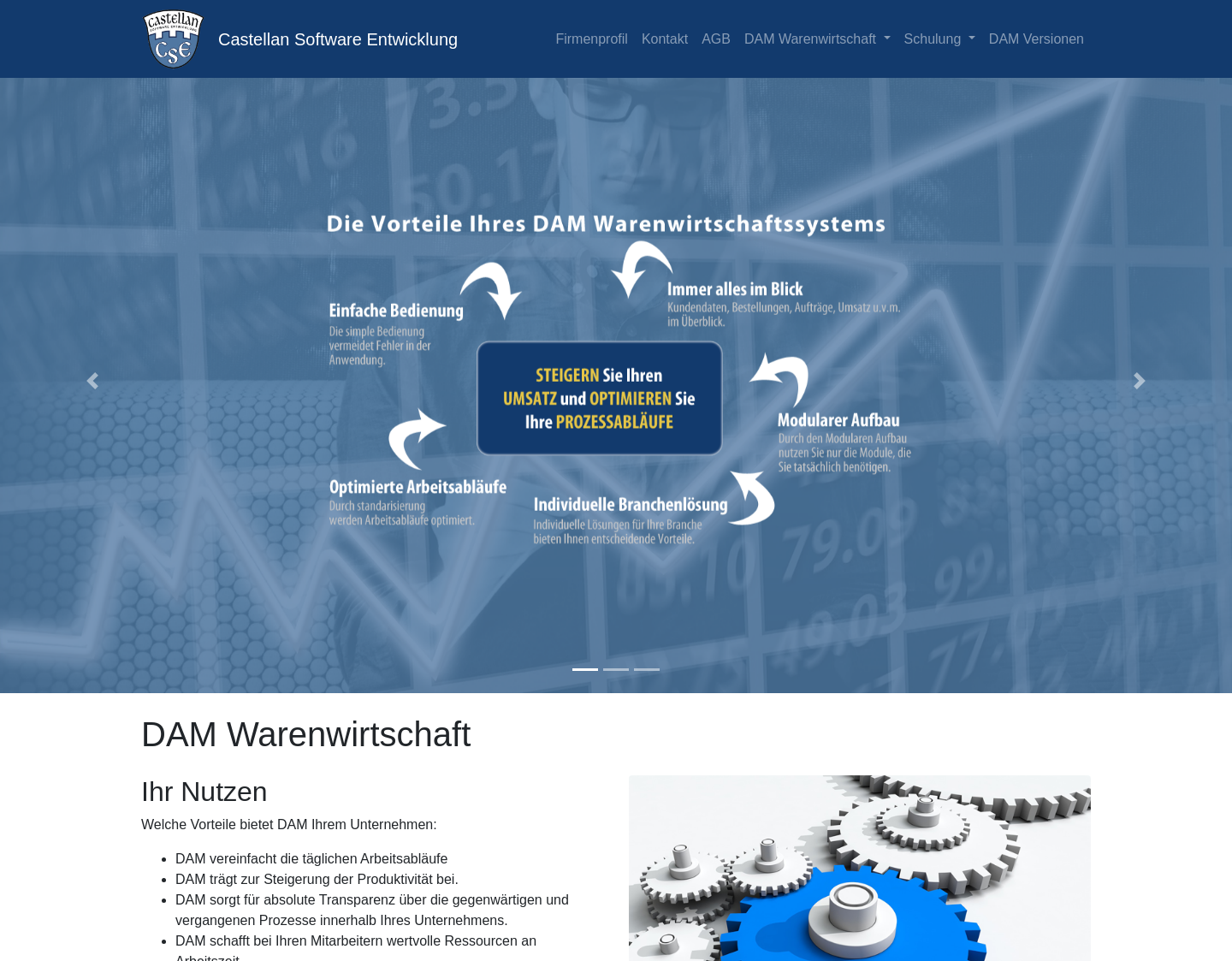 Aktuelle Website-Vorschau von Castellan Software Entwicklung GmbH