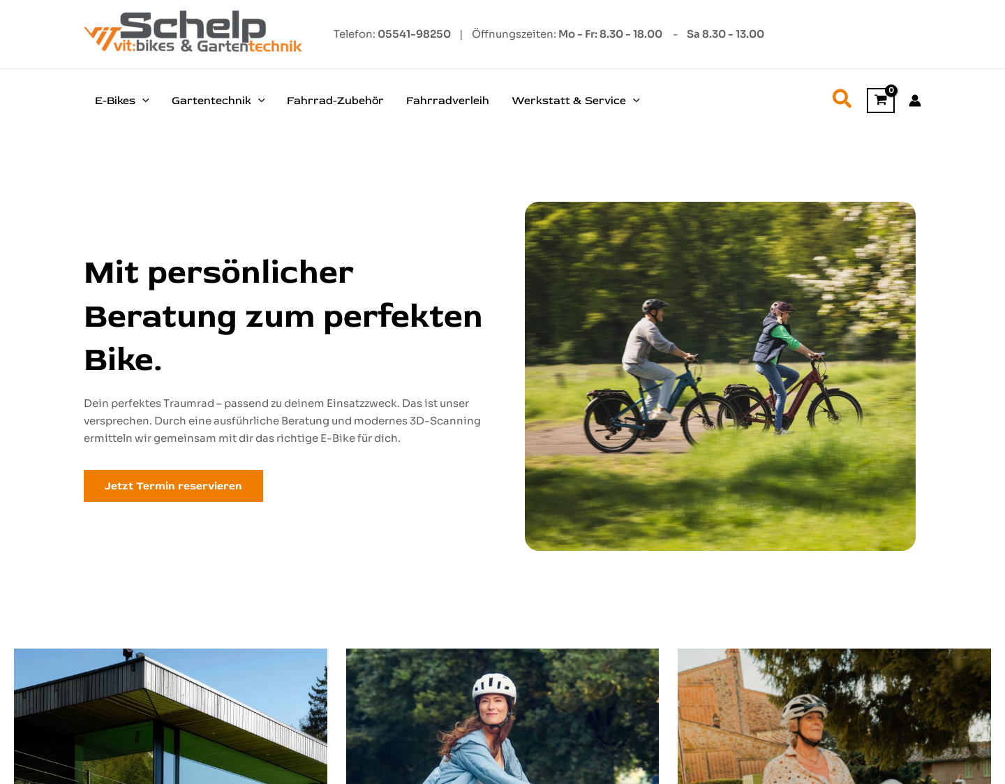 Aktuelle Website-Vorschau von Elektrorasenmäher und Wolf Rasenmäher