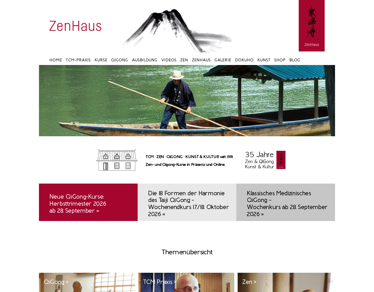 Aktuelle Website-Vorschau von Praxis für TCM München/DokuHo J. Meindl