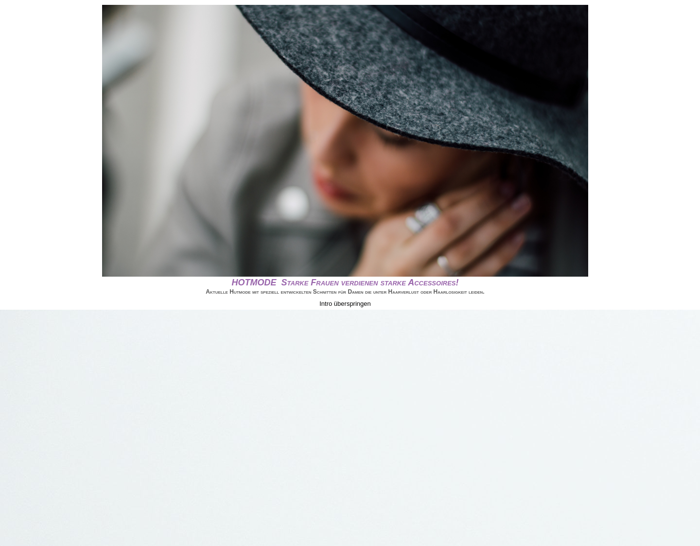 Aktuelle Website-Vorschau von Einleitung Internetshop