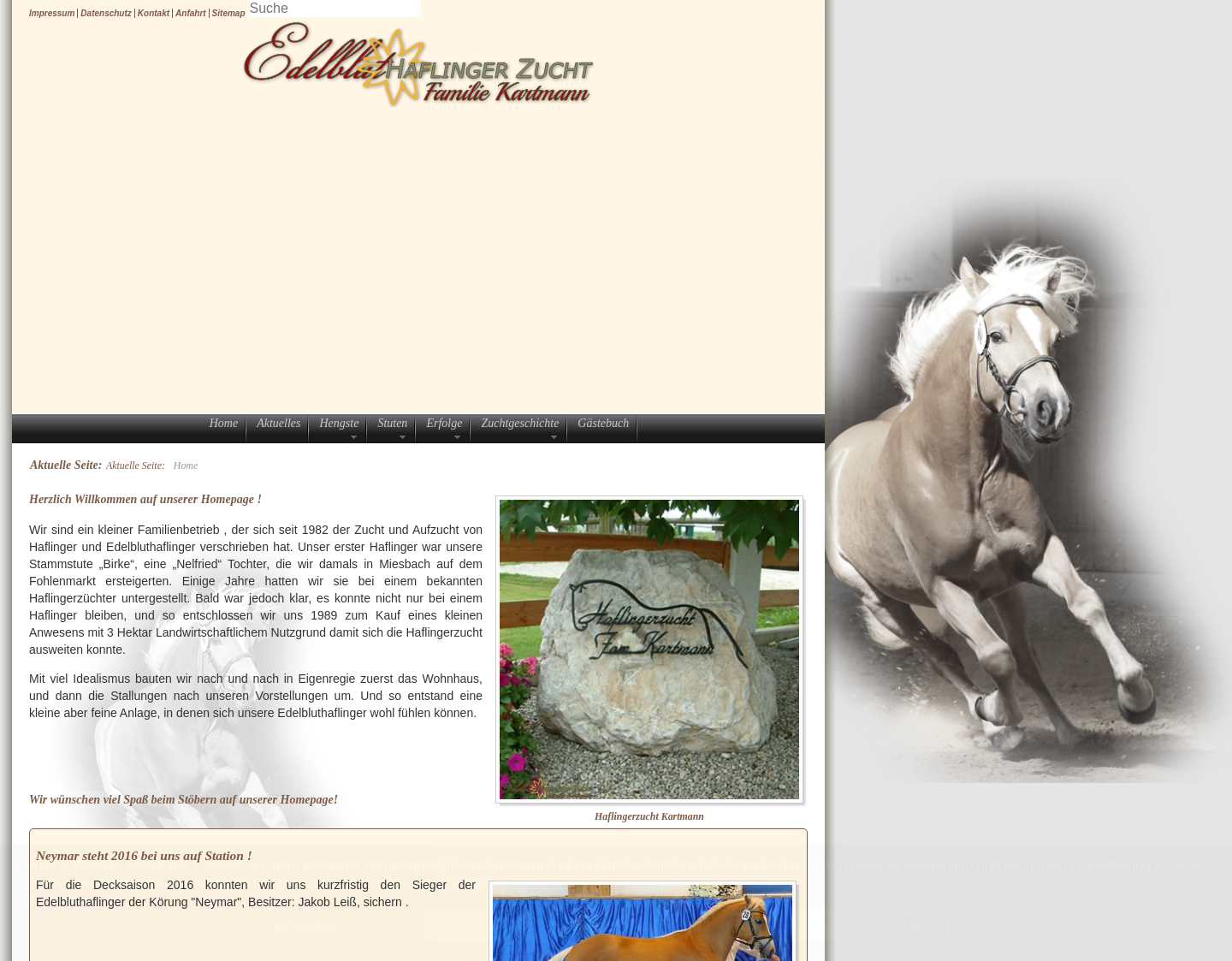 Aktuelle Website-Vorschau von Haflingerzucht Familie Kartmann