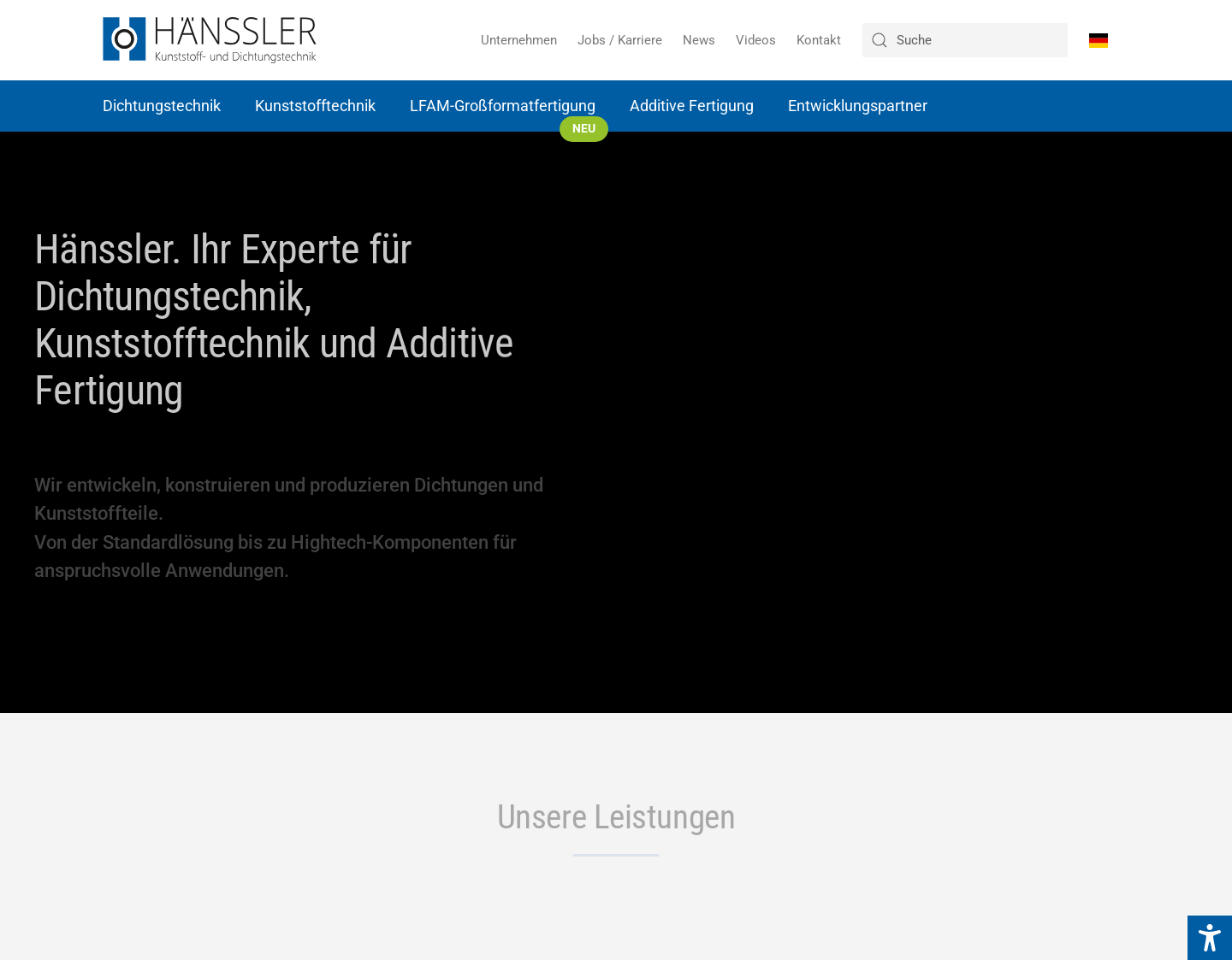 Aktuelle Website-Vorschau von Dichtungstechnik