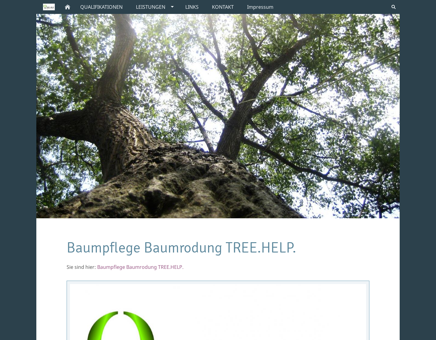 Aktuelle Website-Vorschau von Infos zur Baumrodung