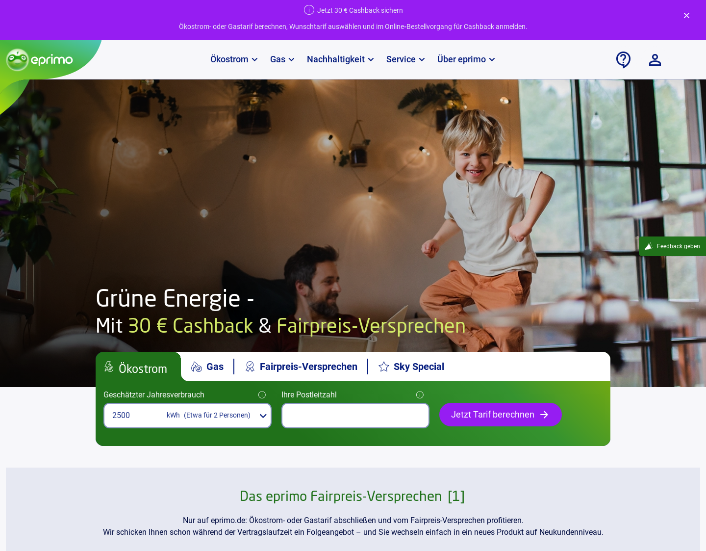 Aktuelle Website-Vorschau von Ökostrom - eprimo GmbH