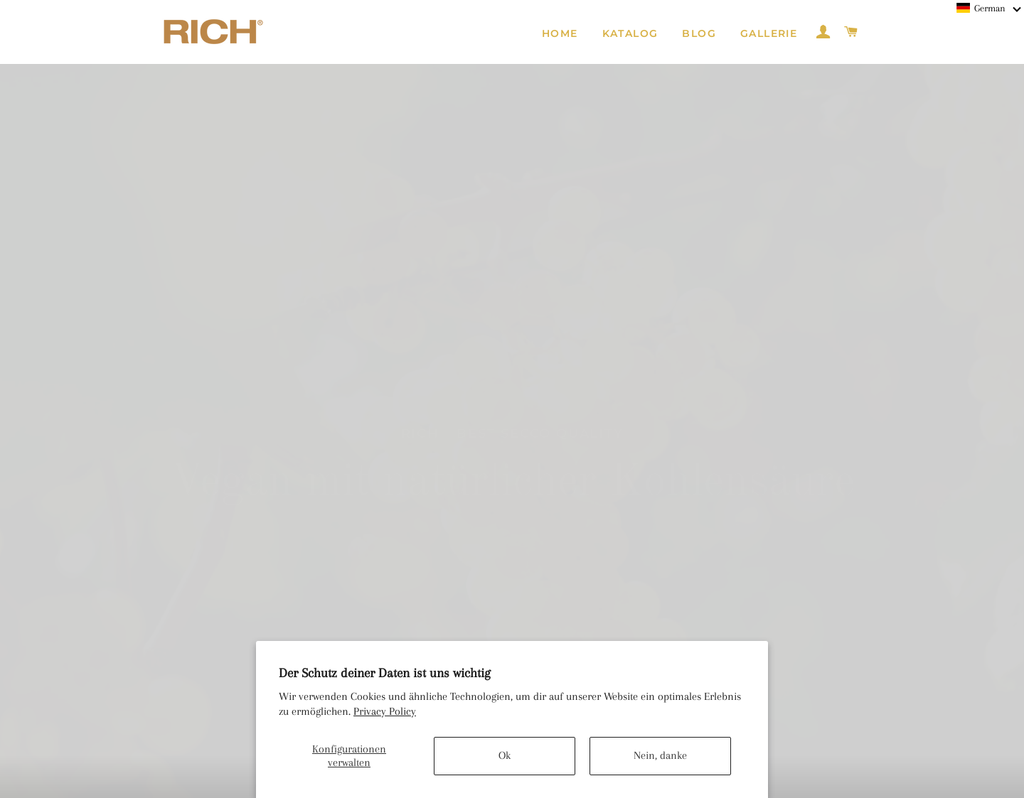 Aktuelle Website-Vorschau von Rich AG