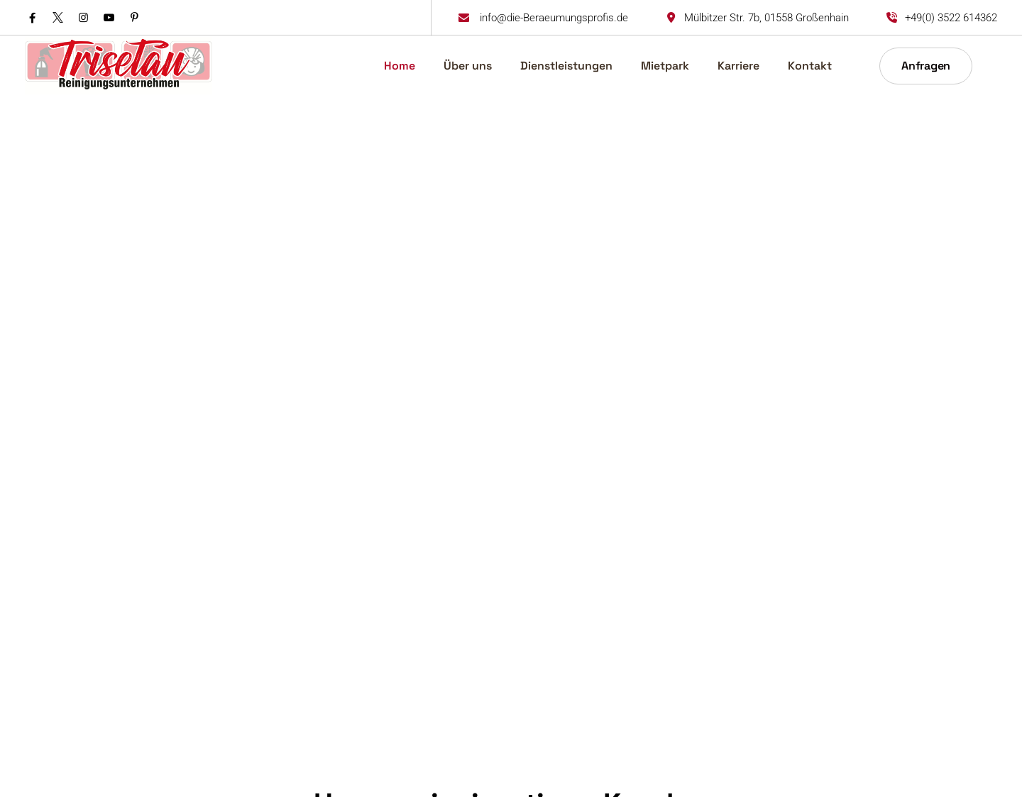 Aktuelle Website-Vorschau von Tatortreinigung Trisetau