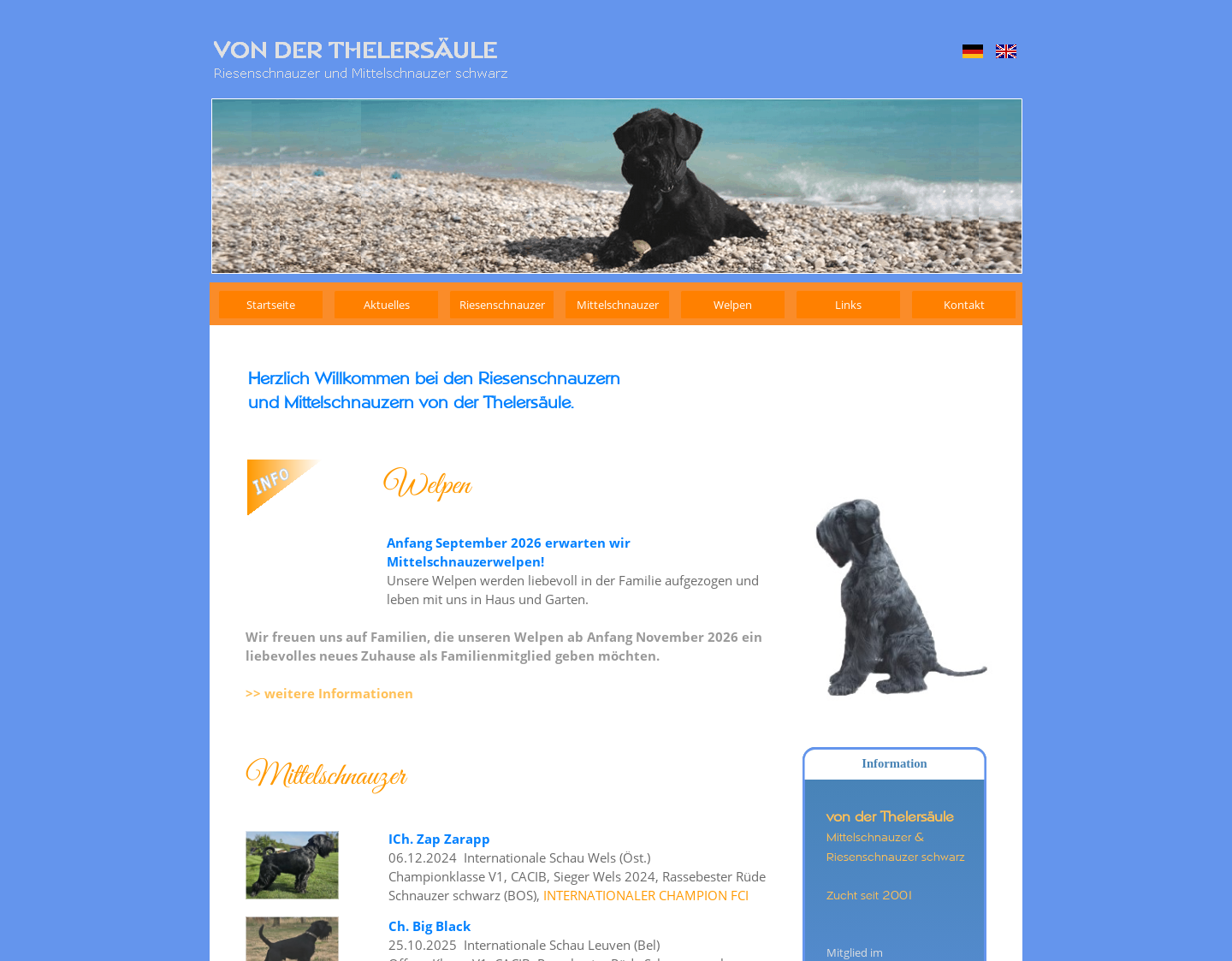 Aktuelle Website-Vorschau von Riesenschnauzer und Mittelschnauzer