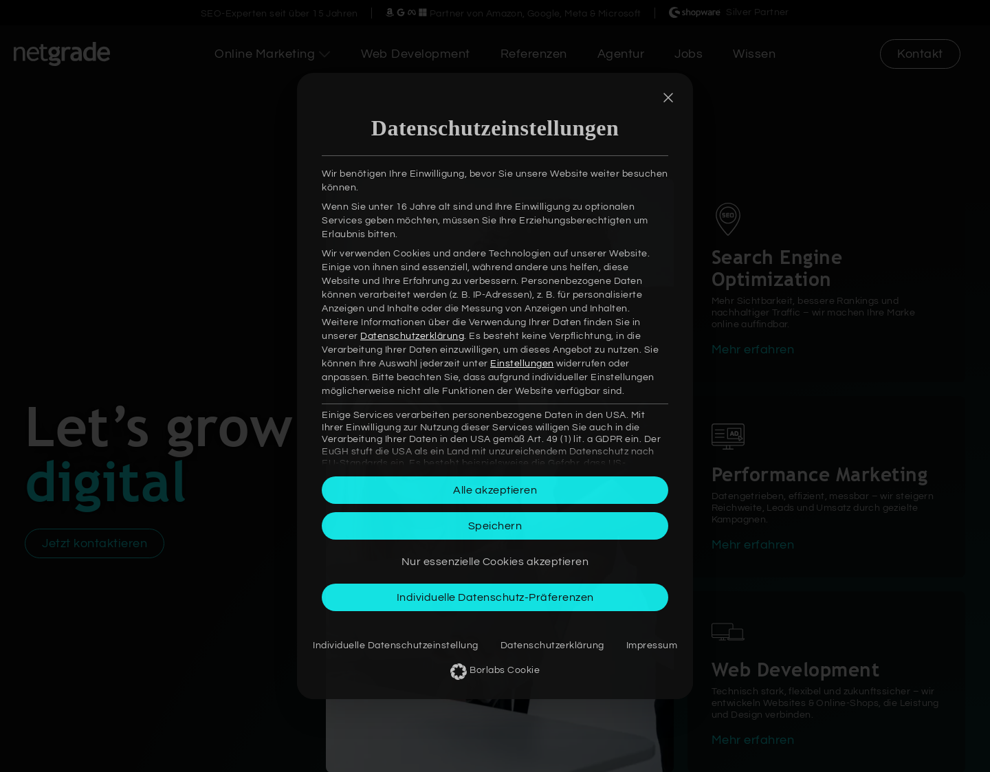 Aktuelle Website-Vorschau von Webdesign Agentur netgrade