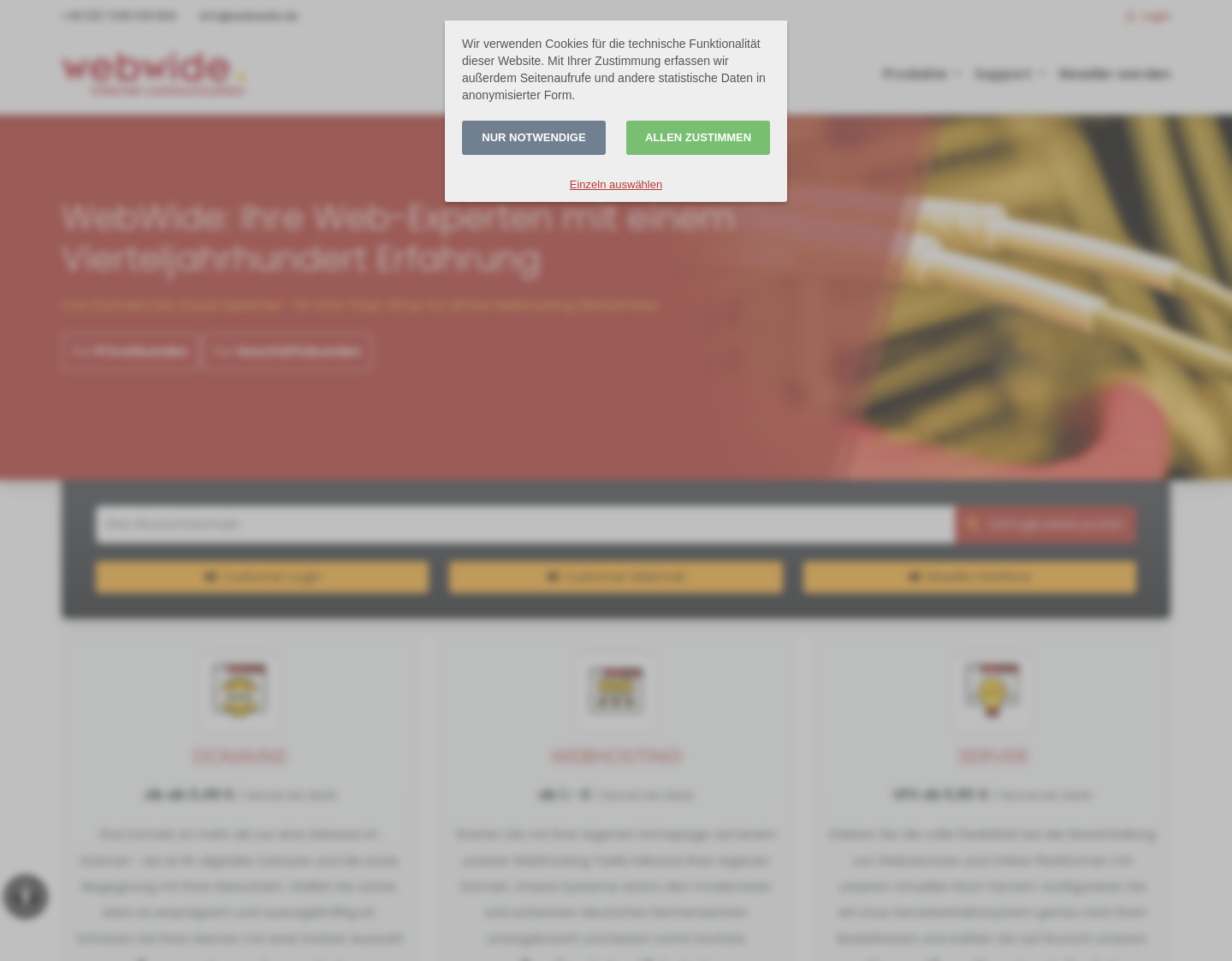 Aktuelle Website-Vorschau von WebWide Internet Communication