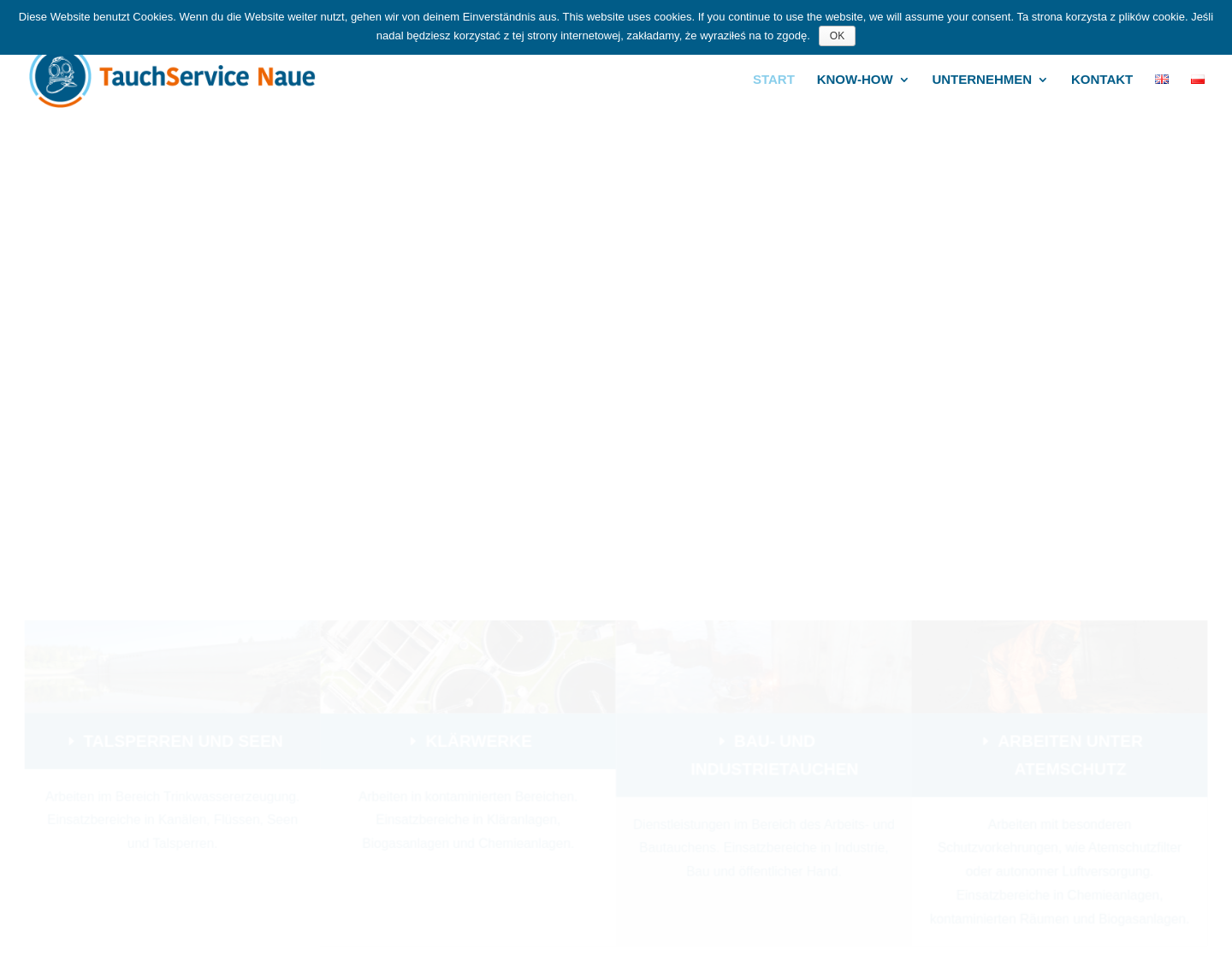Aktuelle Website-Vorschau von TauchService Naue
