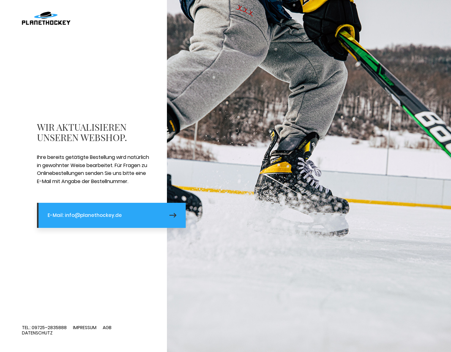 Aktuelle Website-Vorschau von Planethockey.de - Eishockey Shop