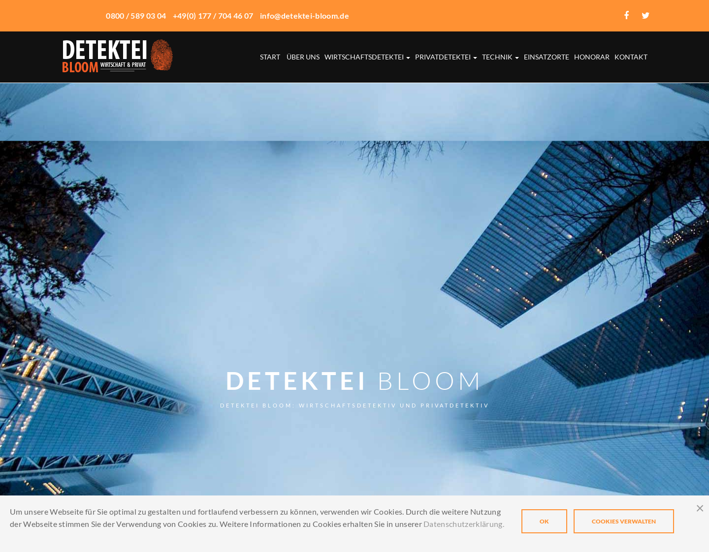 Aktuelle Website-Vorschau von Serioese Detektive in Muenchen
