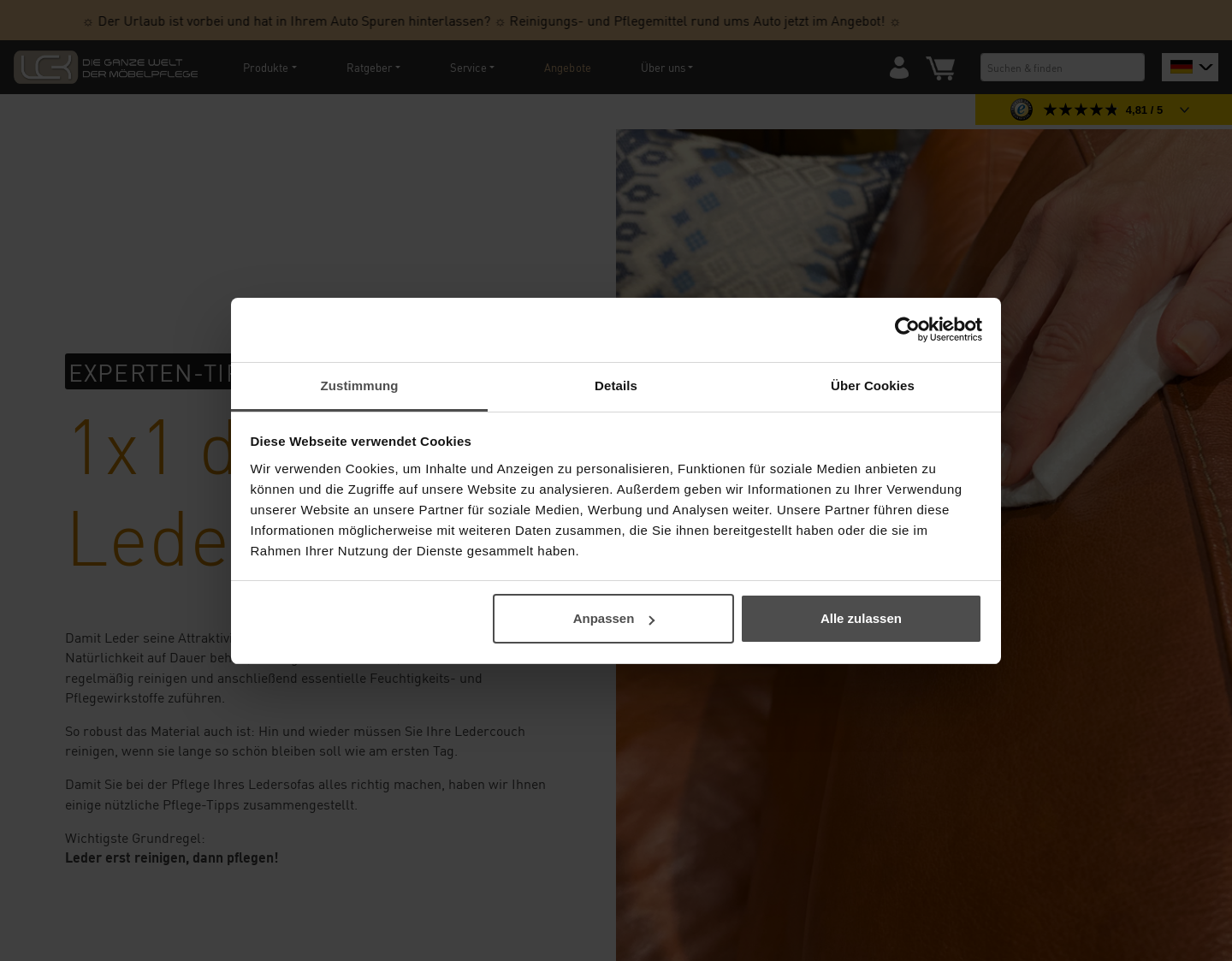 Aktuelle Website-Vorschau von Lederpflege.de - Tipps zur Pflege