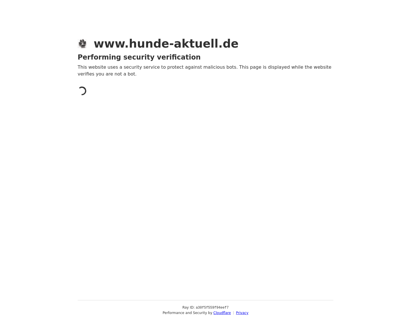Aktuelle Website-Vorschau von Hunde Aktuell Hundeforum