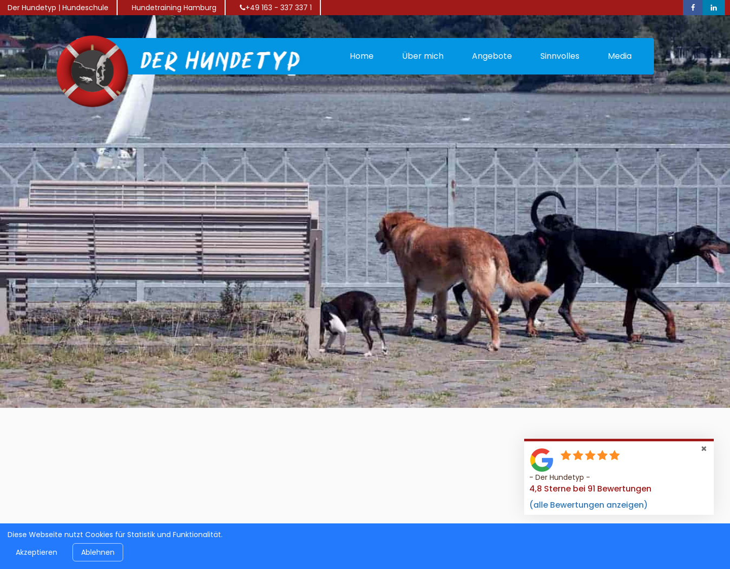 Aktuelle Website-Vorschau von Der Hundetyp - Hundeschule Hamburg