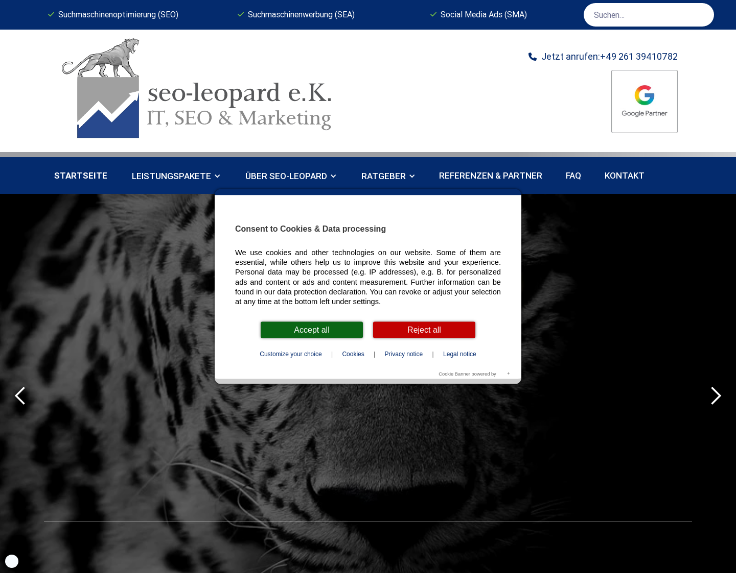 Aktuelle Website-Vorschau von Suchmaschinenmarketing, SEO
