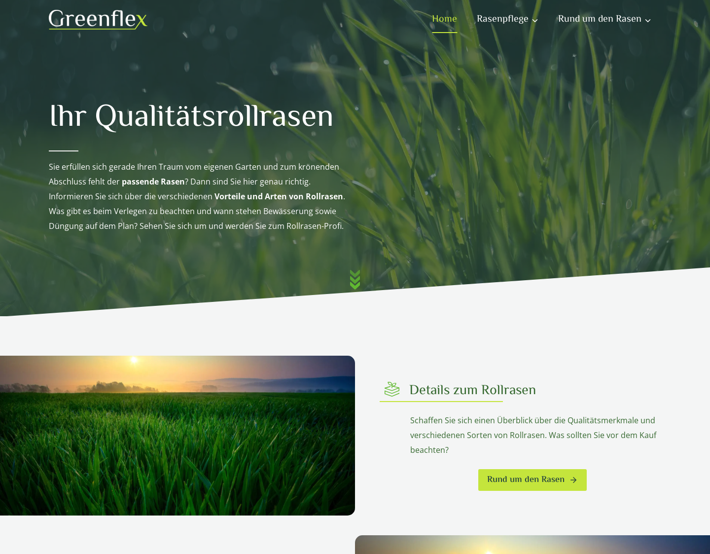 Aktuelle Website-Vorschau von Rollrasen