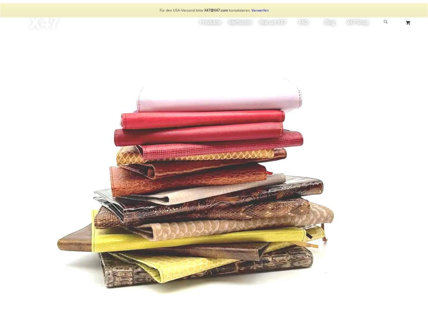 Aktuelle Website-Vorschau von X47 GmbH
