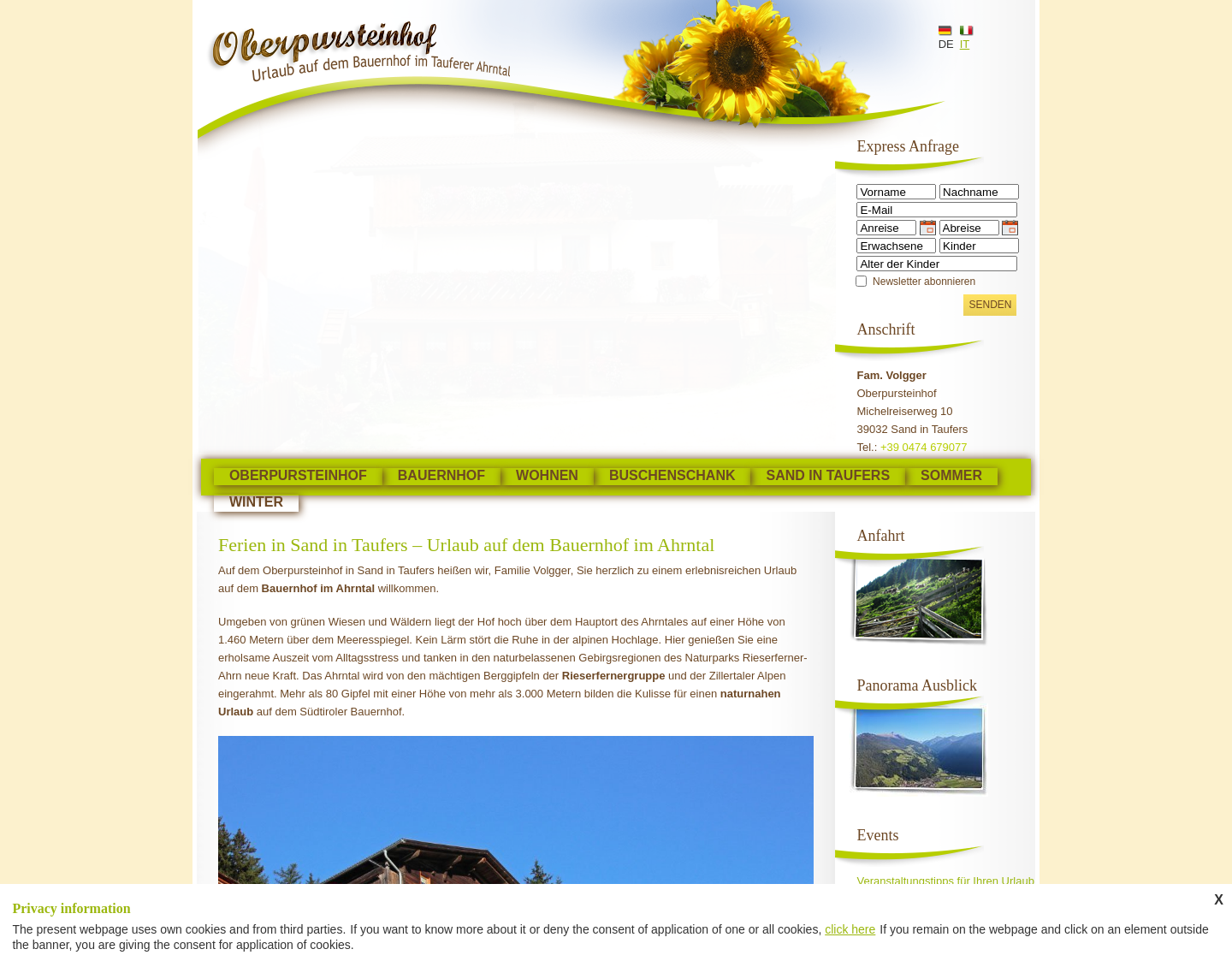 Aktuelle Website-Vorschau von Oberpursteinhof in Sand in Taufers