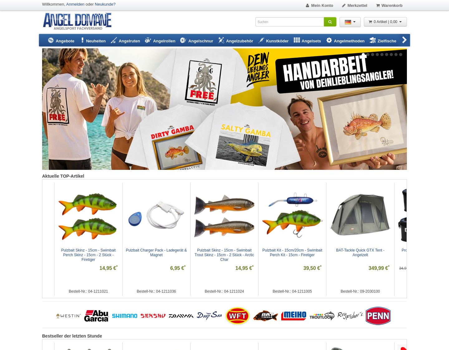 Aktuelle Website-Vorschau von Angel Domäne