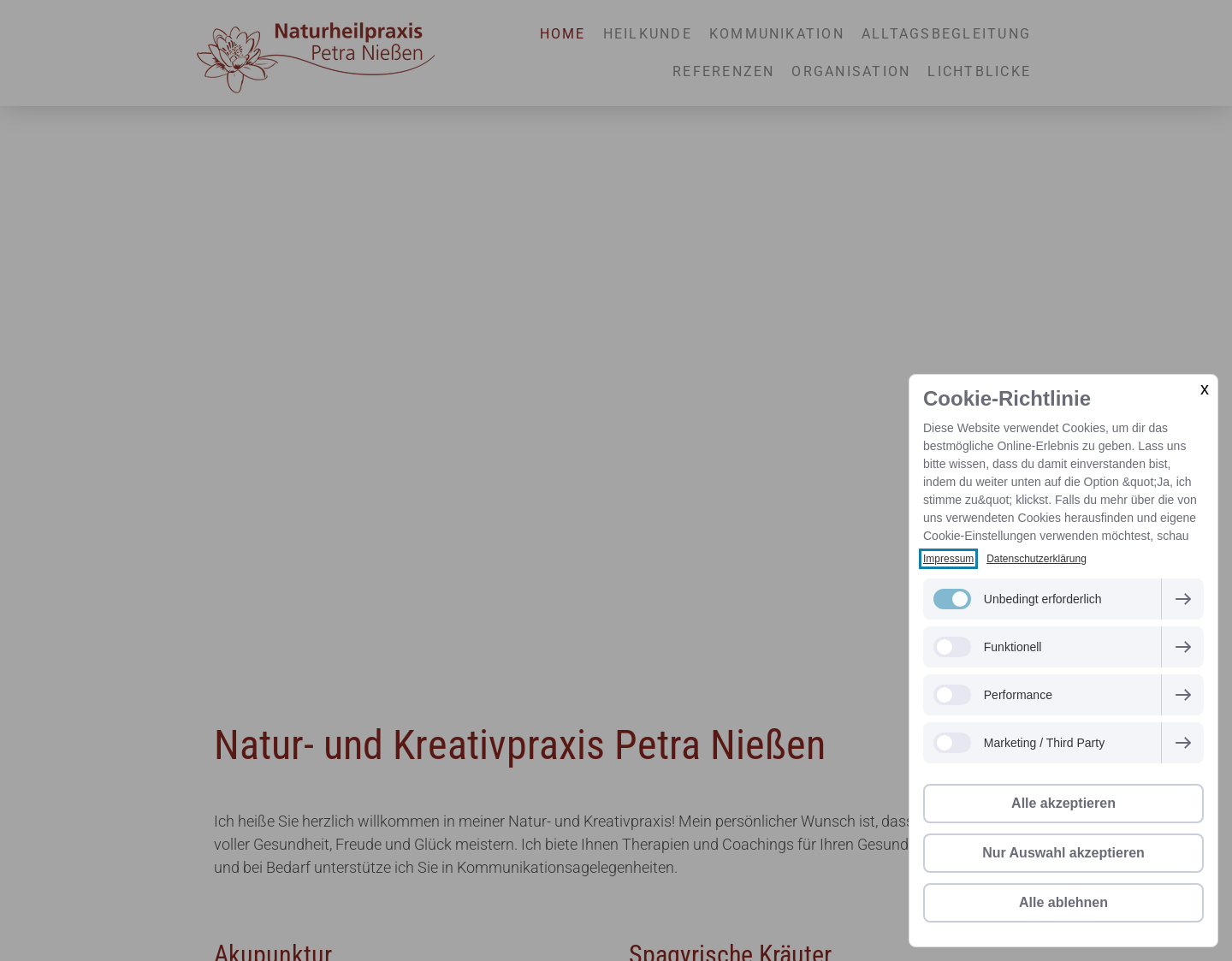 Aktuelle Website-Vorschau von Akupunktur Mainz