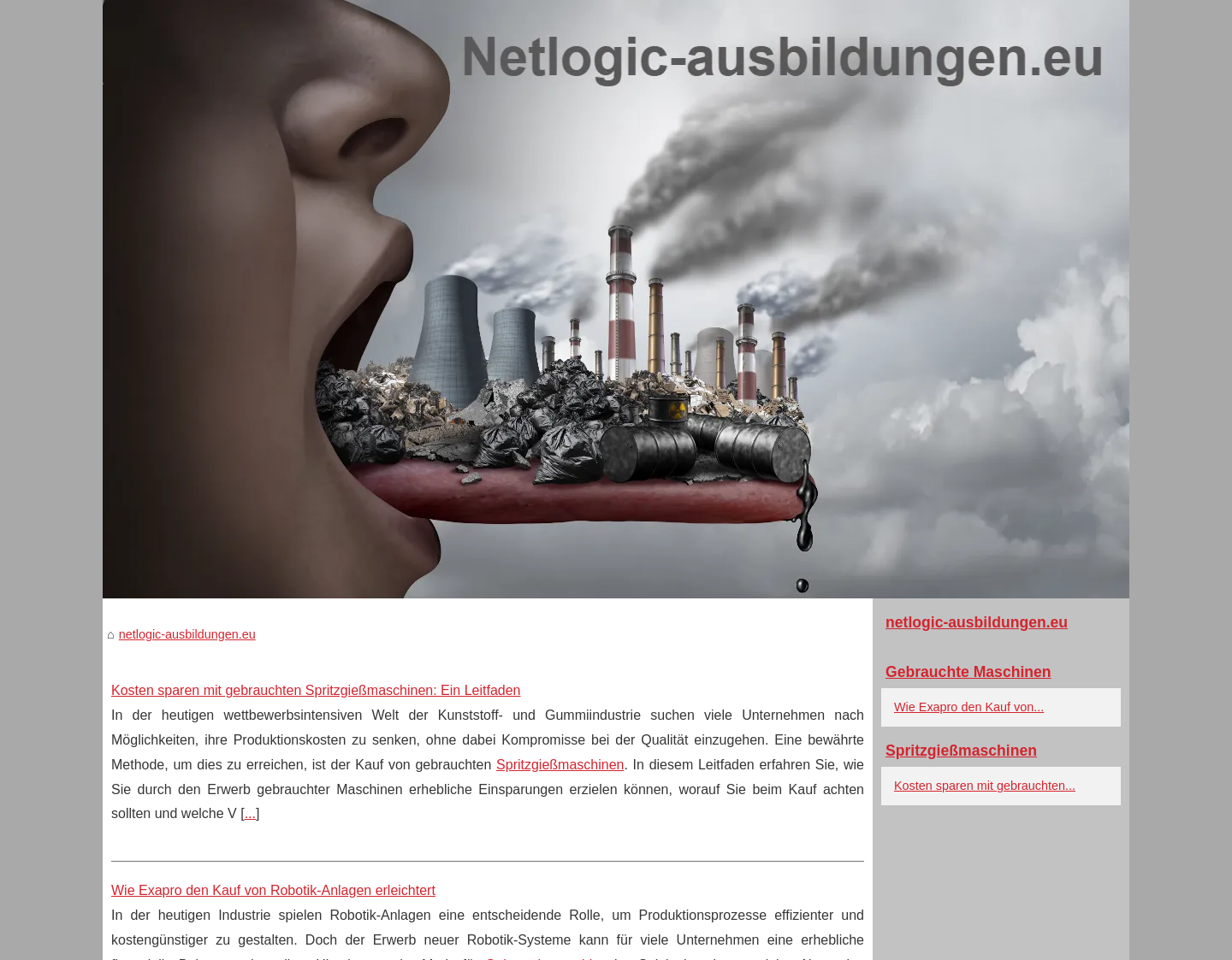 Aktuelle Website-Vorschau von Informatik-Kurse, Sprachkurse Graz
