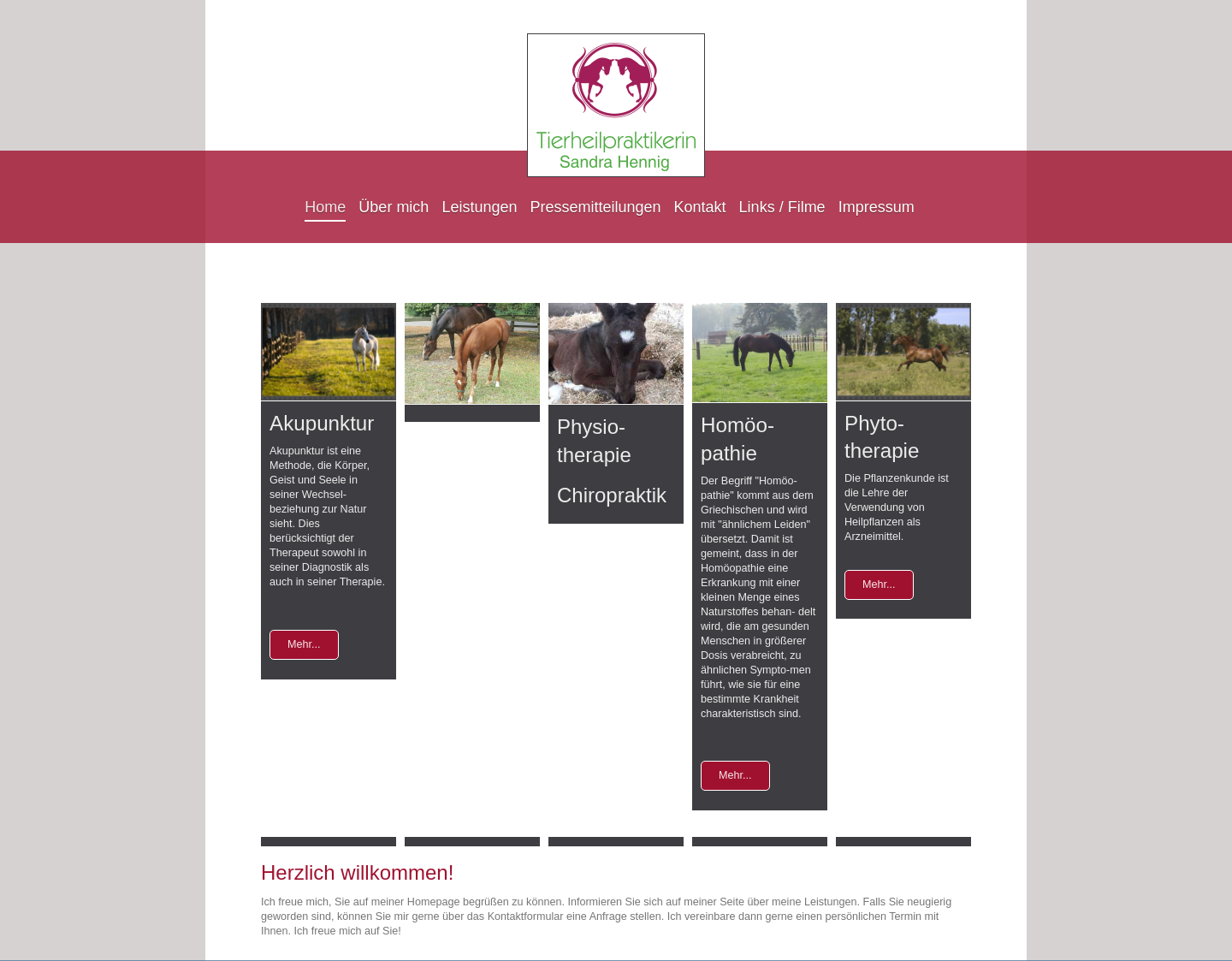 Aktuelle Website-Vorschau von Invernostella