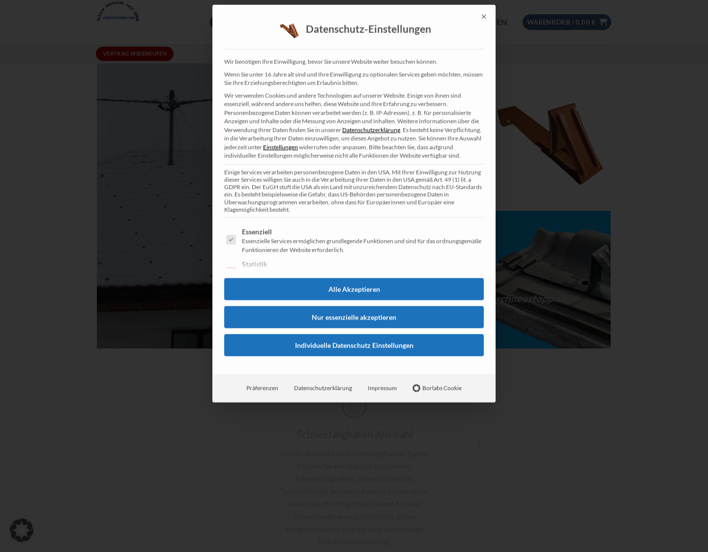 Aktuelle Website-Vorschau von Schneefangsystem mit Pfiff