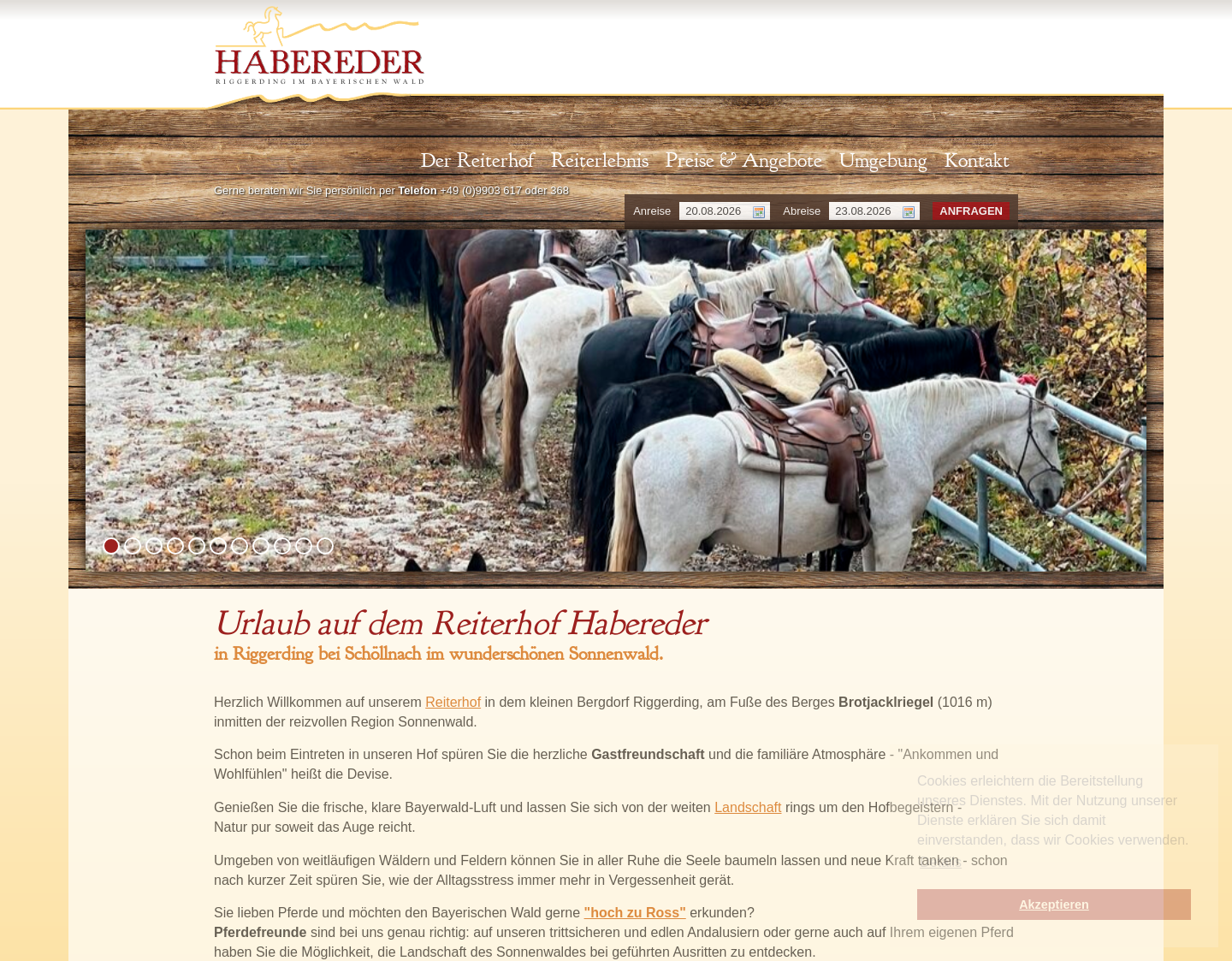 Aktuelle Website-Vorschau von Reiten in Bayern
