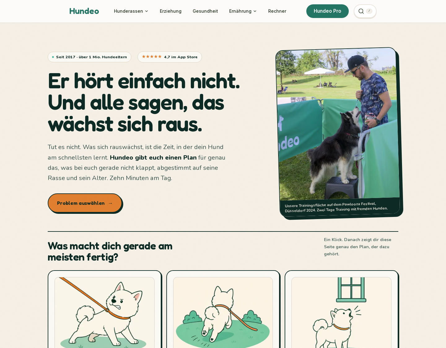 Aktuelle Website-Vorschau von Ernährungsberaterin