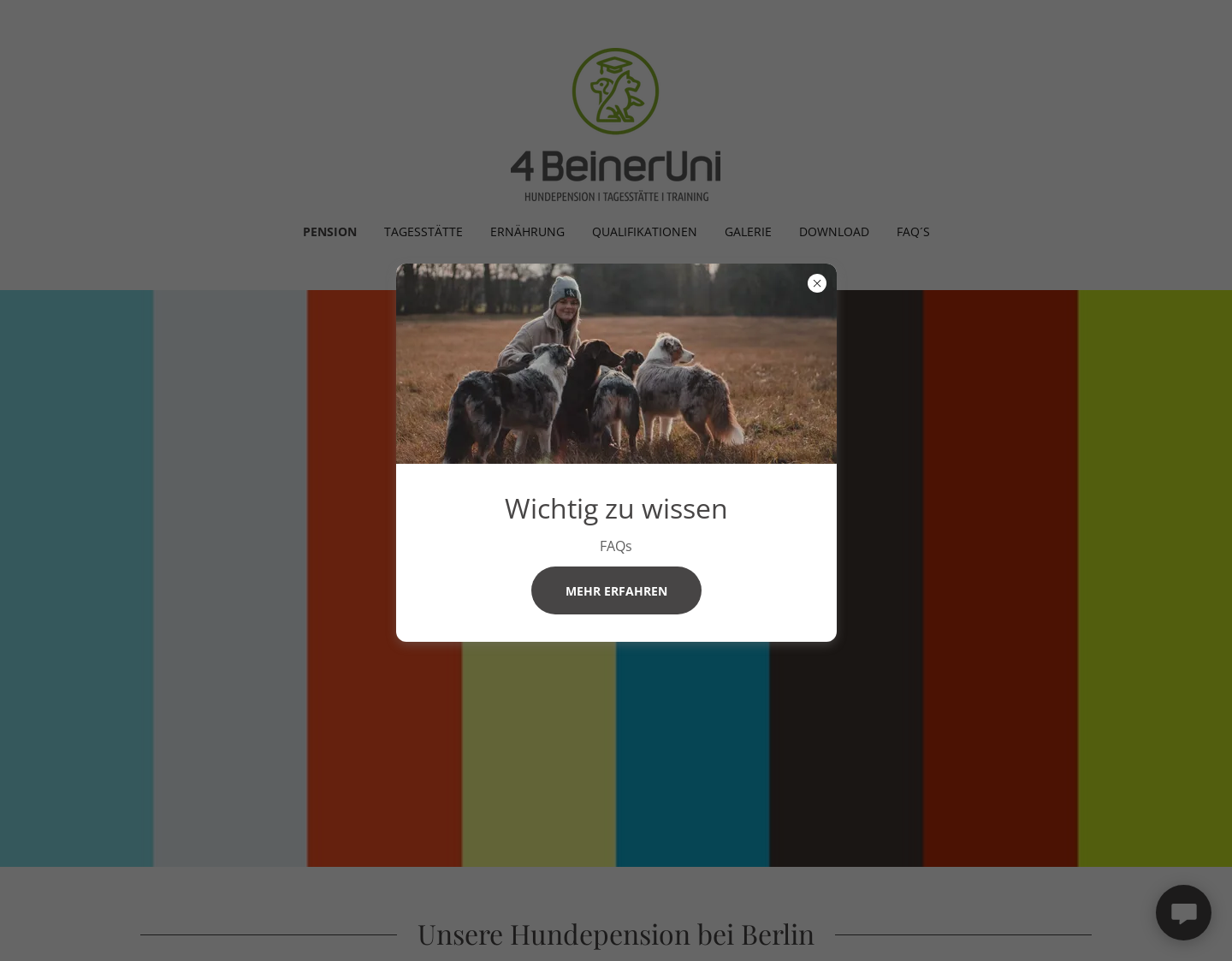 Aktuelle Website-Vorschau von Hundetraining und Hundepension in Berlin
