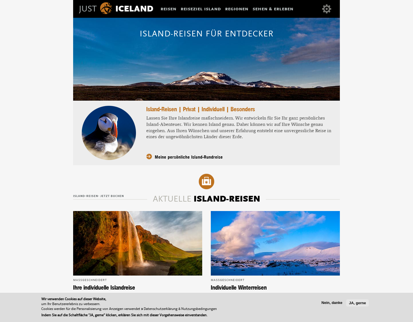 Aktuelle Website-Vorschau von JUST ICELAND