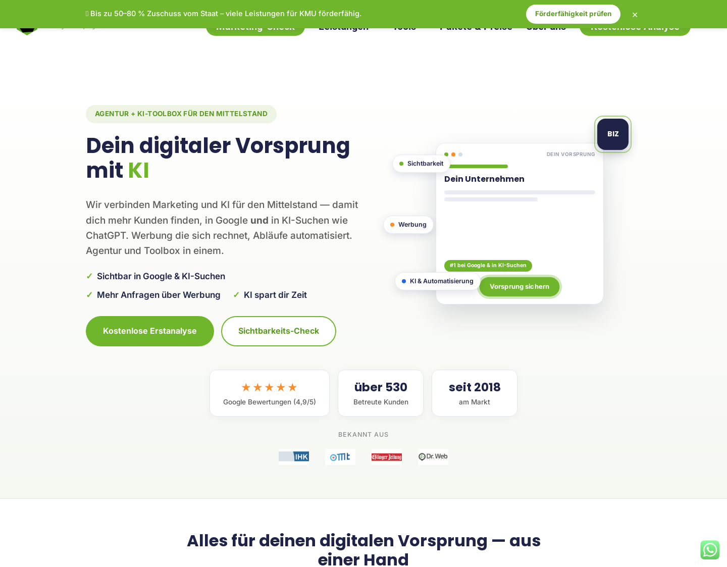 Aktuelle Website-Vorschau von BIZ-Digital-Marketing.de ? Full Service Agentur