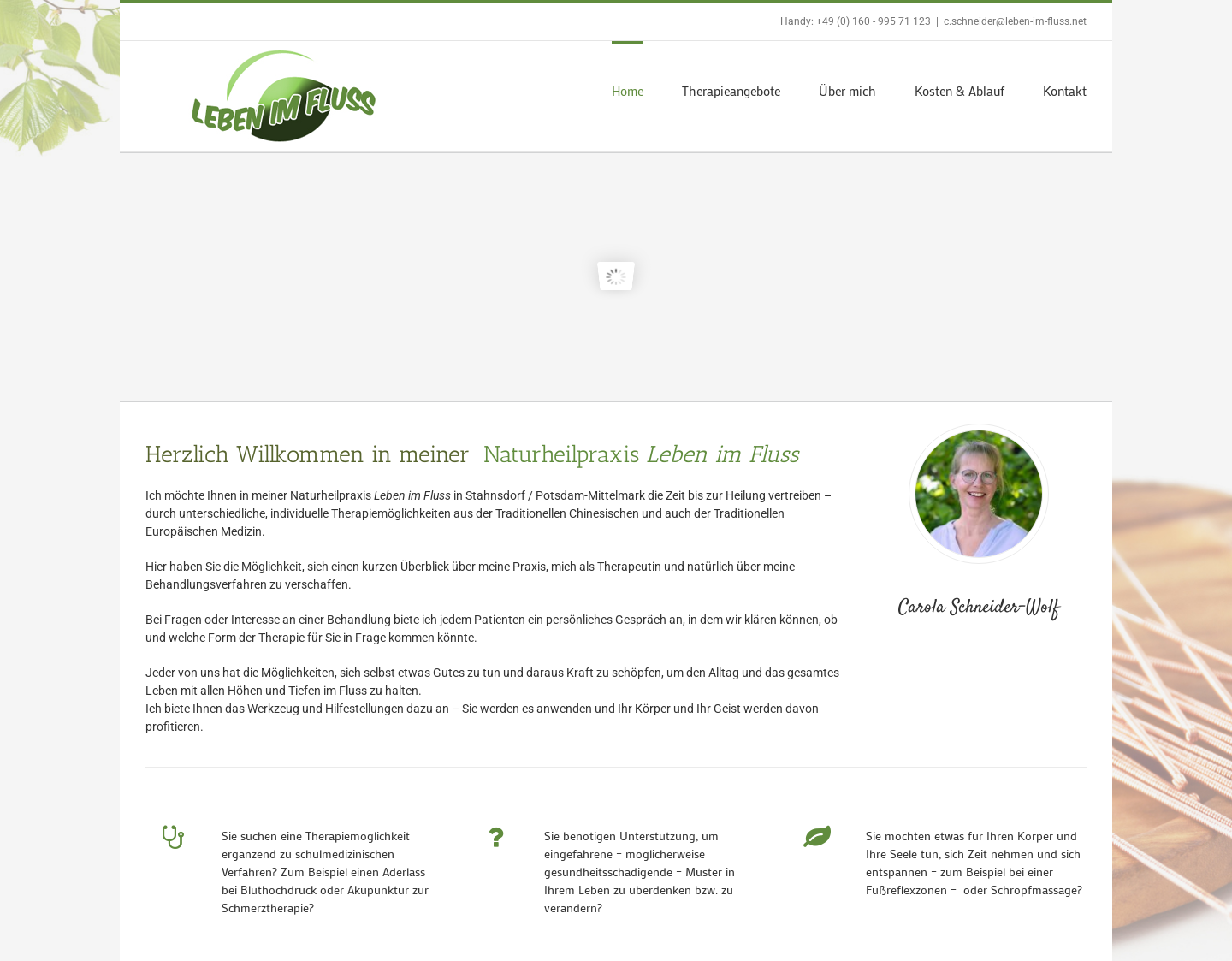 Aktuelle Website-Vorschau von Heilpraktiker Stahnsdorf / Potsdam Mittelmark