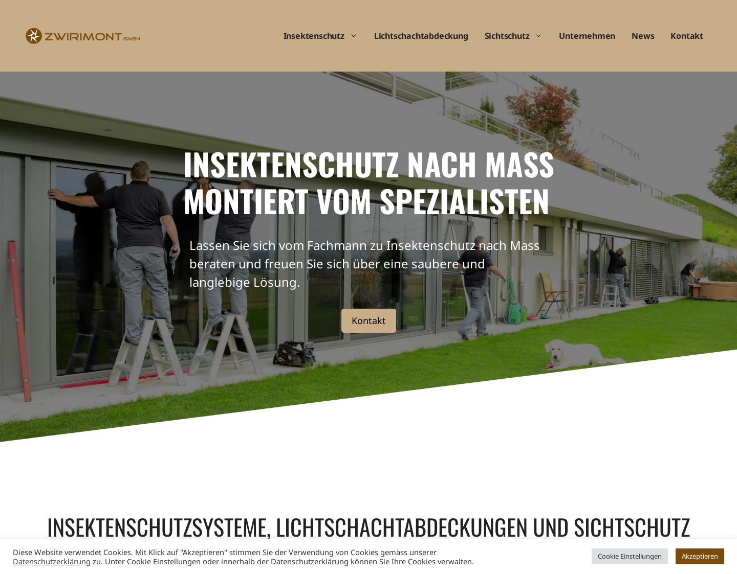 Aktuelle Website-Vorschau von Insektenschutzsysteme
