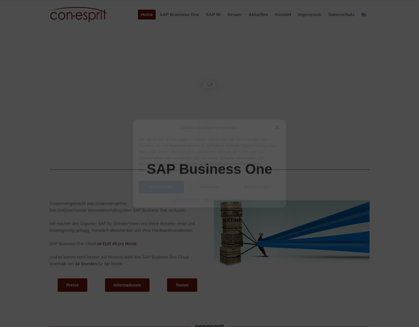 Aktuelle Website-Vorschau von SAP Beratungs- und Softwarehaus