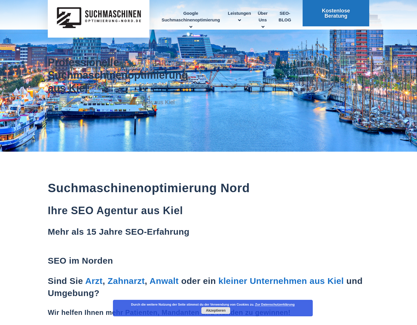 Aktuelle Website-Vorschau von Seriöse Suchmaschinenoptimierung