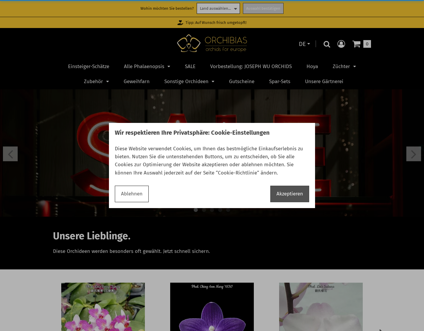 Aktuelle Website-Vorschau von Orchibias - Orchids for Europe