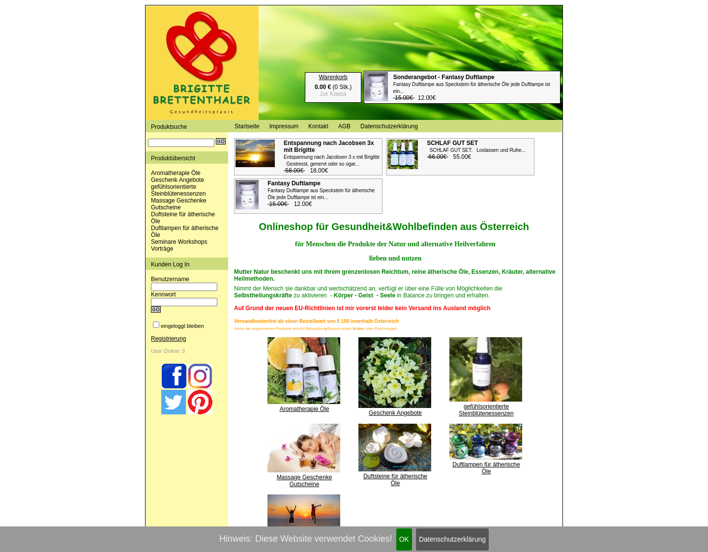 Aktuelle Website-Vorschau von Gesundheit&Wohlbefinden