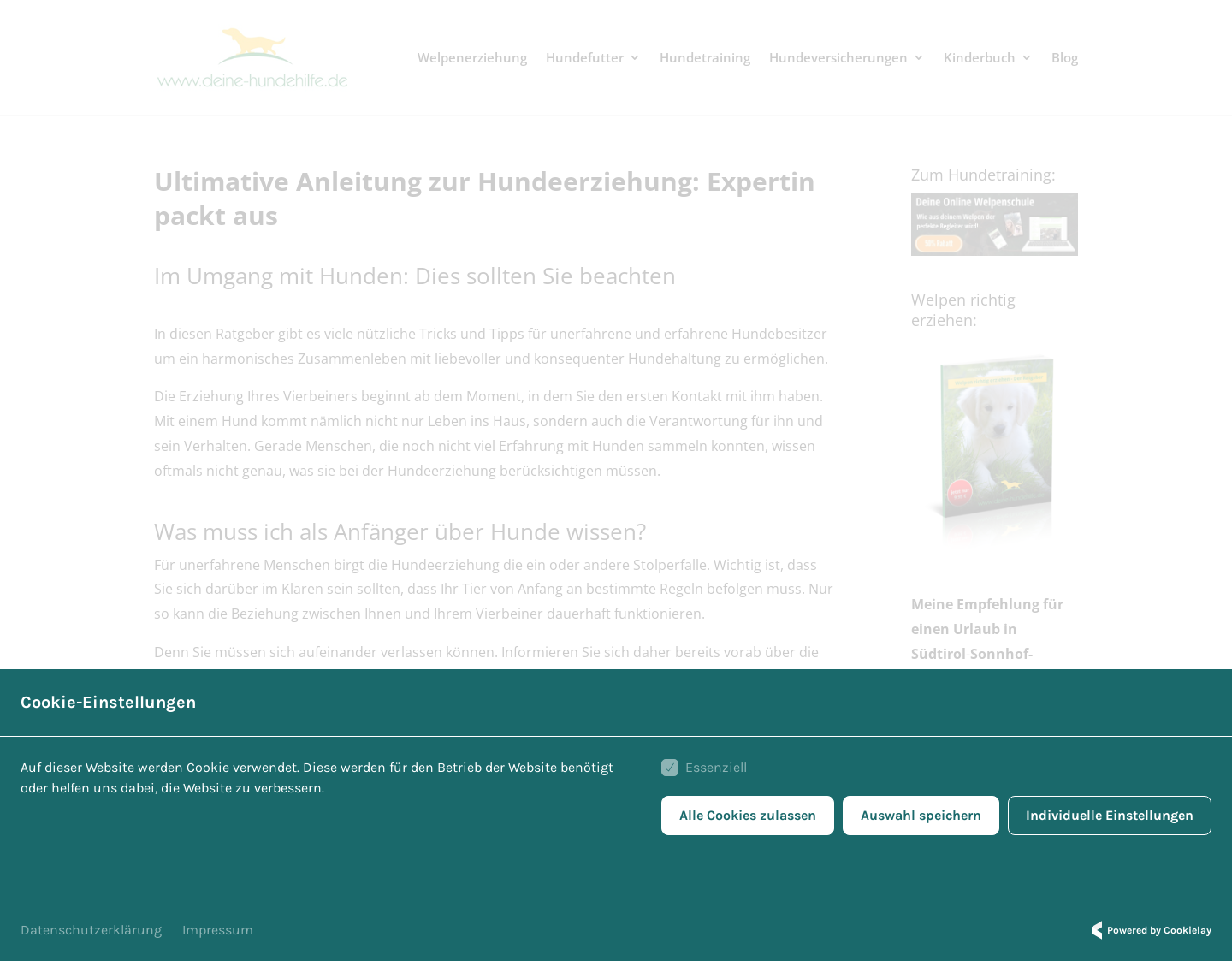 Aktuelle Website-Vorschau von Deine Hundehilfe