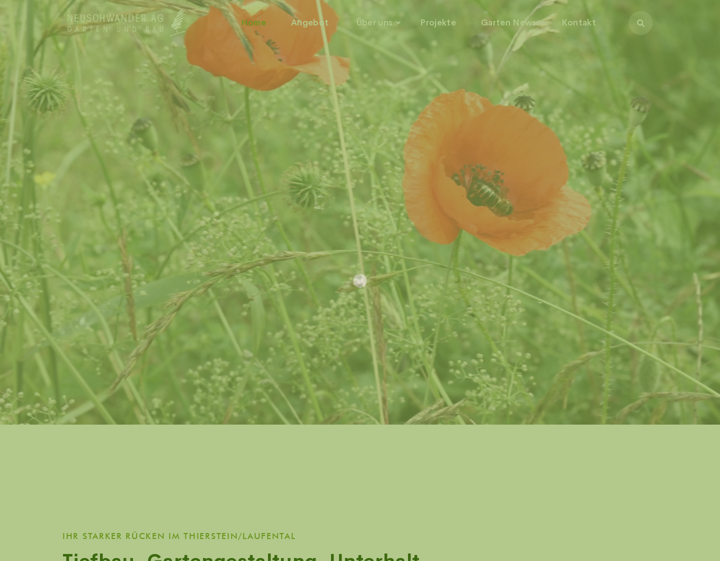 Aktuelle Website-Vorschau von Neuschwander AG Garten und Bau